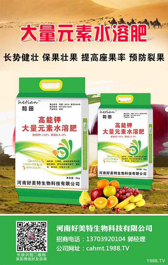 ��Ģ����ʲô��̎��Ģ���ĠI(y��ng)�B(y��ng)�r(ji��)ֵ����Ч����