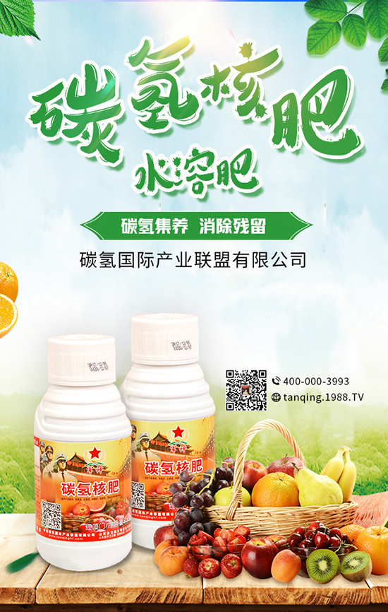 ����ʩ��