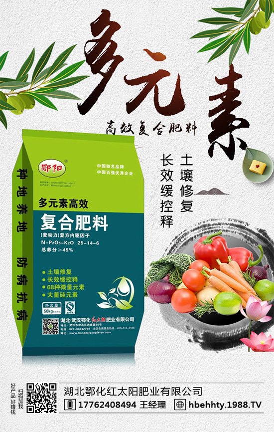 洋蔥什么時(shí)間種植？洋蔥的種植要點(diǎn)！