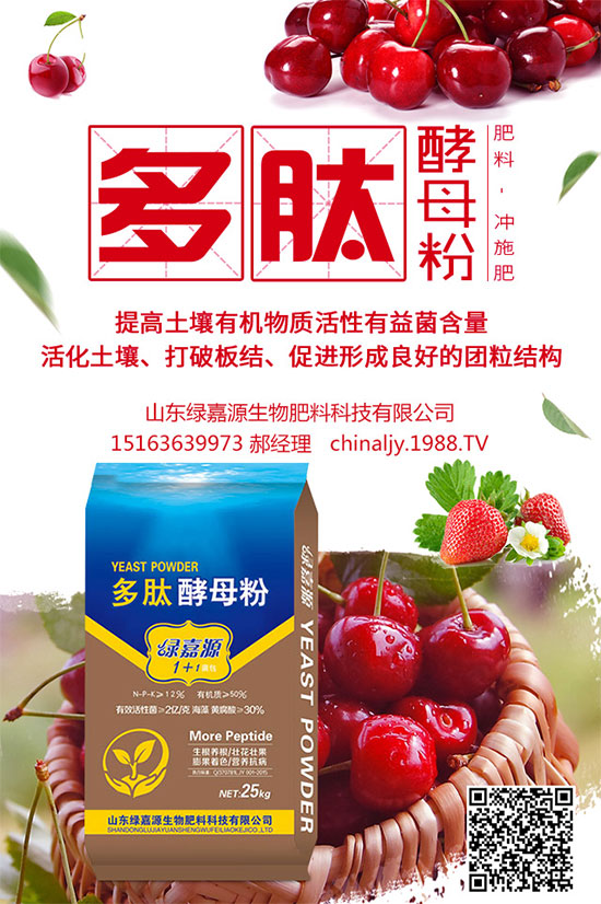 荊芥該如何種植?荊芥的種植環(huán)境要求