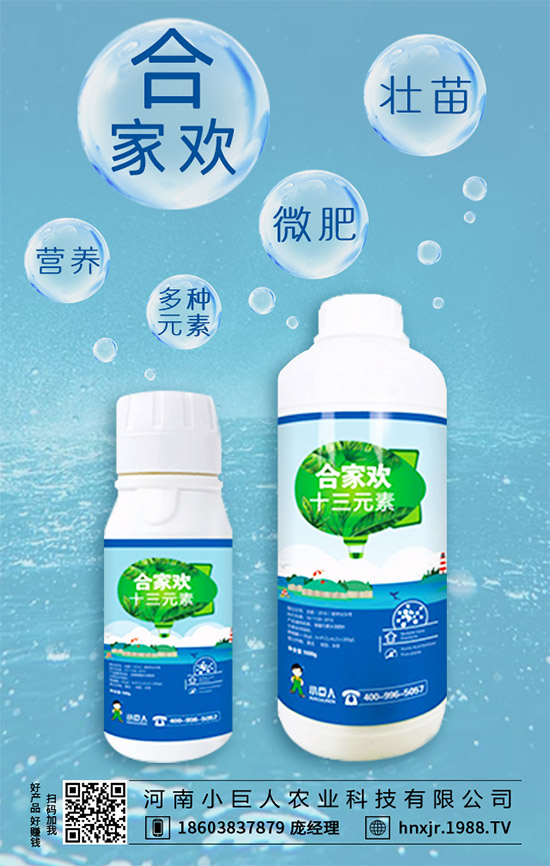 茶樹菇有哪些營養(yǎng)價(jià)值？茶樹菇的功效與作用！