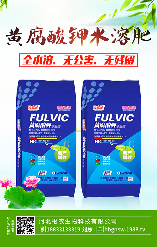 紅肉蜜柚該如何種植?紅心蜜柚高產(chǎn)種植技術(shù)