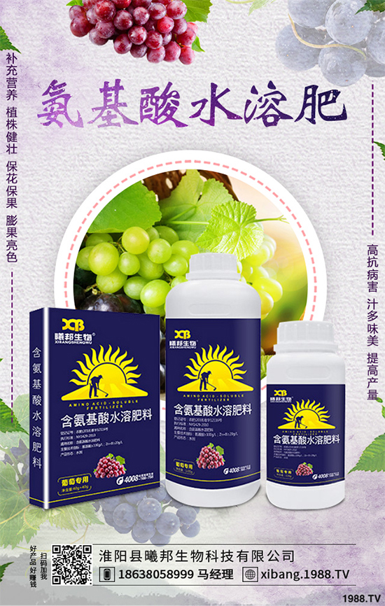 明年種植什么更賺錢(qián)？2020年七大賺錢(qián)種植項(xiàng)目，快來(lái)看看吧！