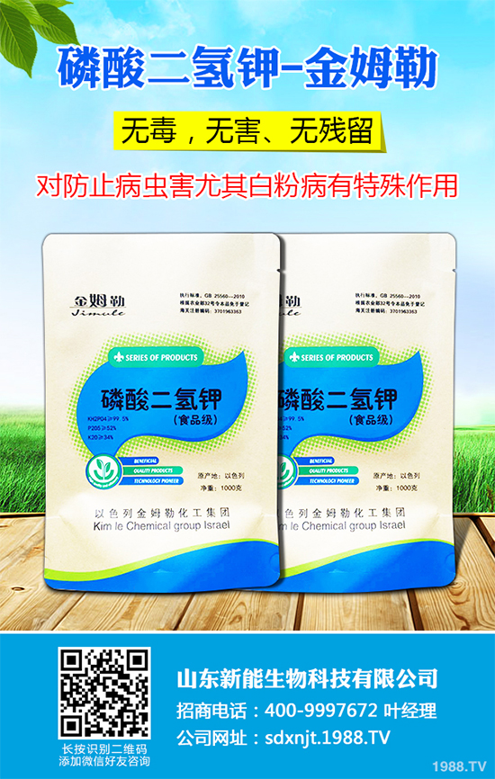 魔芋價(jià)格多少錢一斤?2020年魔芋種植的市場行情