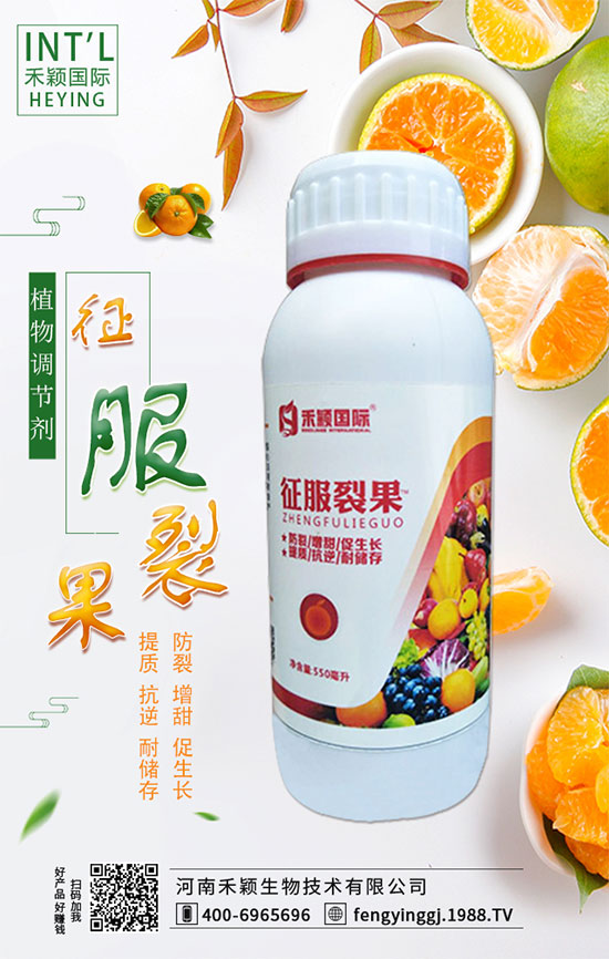 ľ����ʲô�r(sh��)�g�Nֲ��ľ���˷Nֲ������