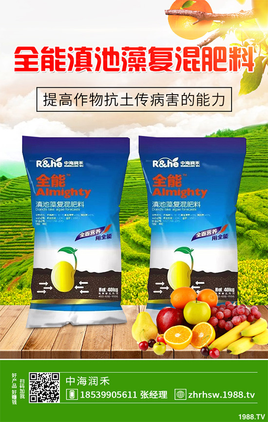 新鮮天麻和干天麻有哪些區(qū)別?那個效果更好?