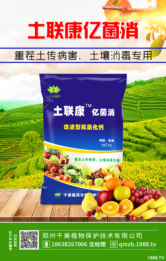     2020���؃r(ji��)�������������(hu��)�qô��12��30�ո��؅^(q��)�����������S��(b��o)�r(ji��)��