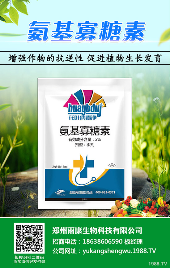 ɳ�ǽ۴ٻ�ԭ����ʲô��ɰ���ٴٻ���ʩ������