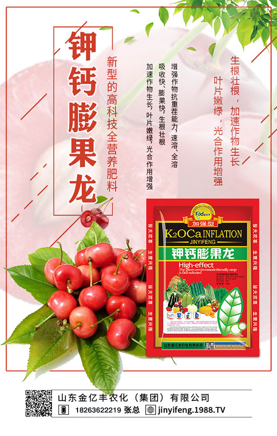 荔枝什么時(shí)間種植?荔枝怎么種植?