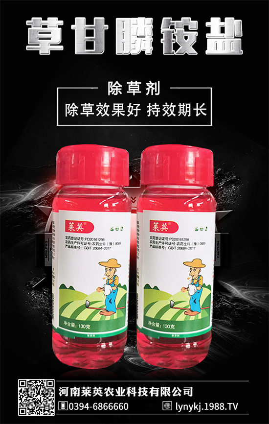     橙子價格如何？貴么？2020種植橙子賺錢么？種植前景怎么樣？