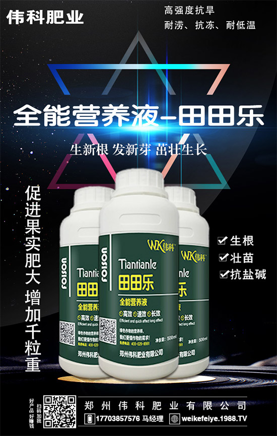 橙子的營養(yǎng)價(jià)值有哪些?功效與作用有哪些?不易哪些人群食用?