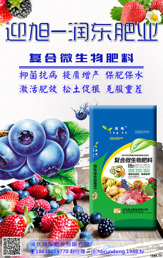 ���@��ʲô���݄��������@������ô�x����݄���