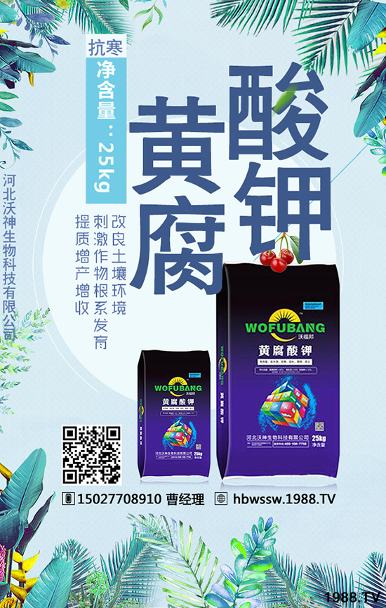 ��������Ч�ı��|(zh��)�چ�����������c(di��n)�M(j��n)�������a(ch��n)����