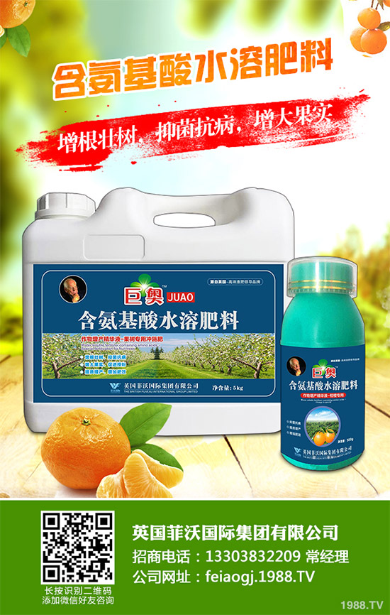 我國(guó)南方該怎樣種植藍(lán)莓?藍(lán)莓高產(chǎn)種植技術(shù)要點(diǎn)