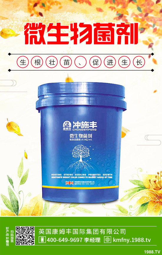 我國(guó)南方該怎樣種植藍(lán)莓?藍(lán)莓高產(chǎn)種植技術(shù)要點(diǎn)