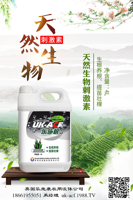 冬季該如何栽培馬鈴薯？七步輕松獲得高產(chǎn)