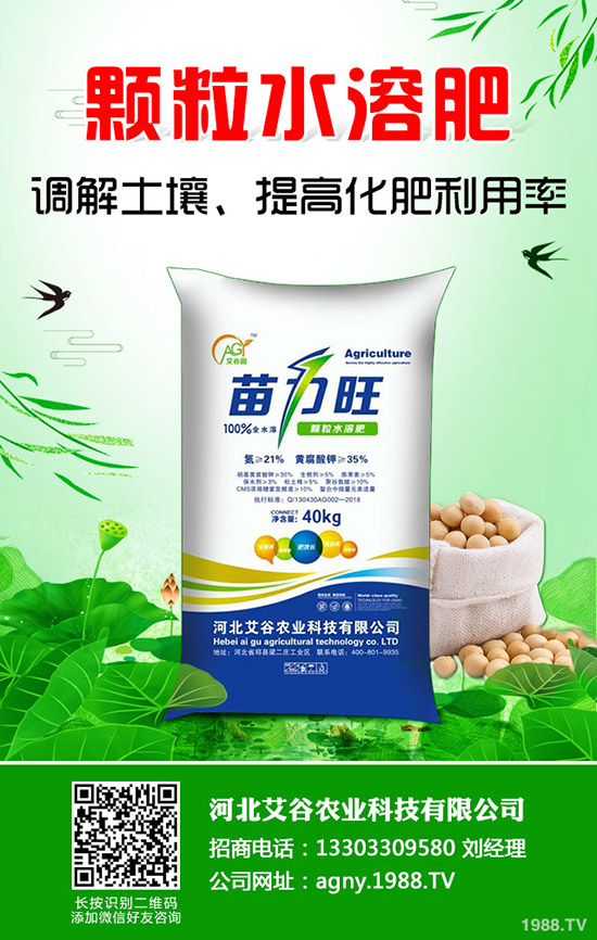 空心菜怎樣施肥產(chǎn)量高，空心菜施肥技巧有哪些？