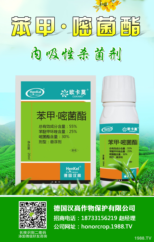 芋頭病蟲(chóng)害怎么辦？芋頭病蟲(chóng)害防治好方法