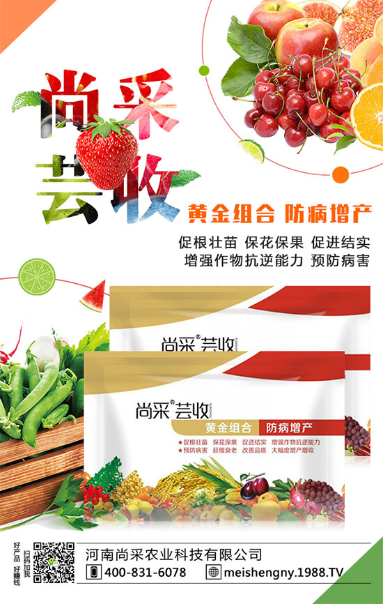 棗樹座果率低的原因是什么呢？棗樹如何提高座果率？