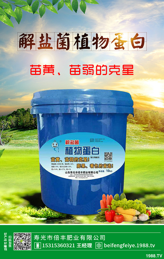 芹菜立枯病時(shí)如何引起的?該怎樣預(yù)防?芹菜立枯病大預(yù)防措施