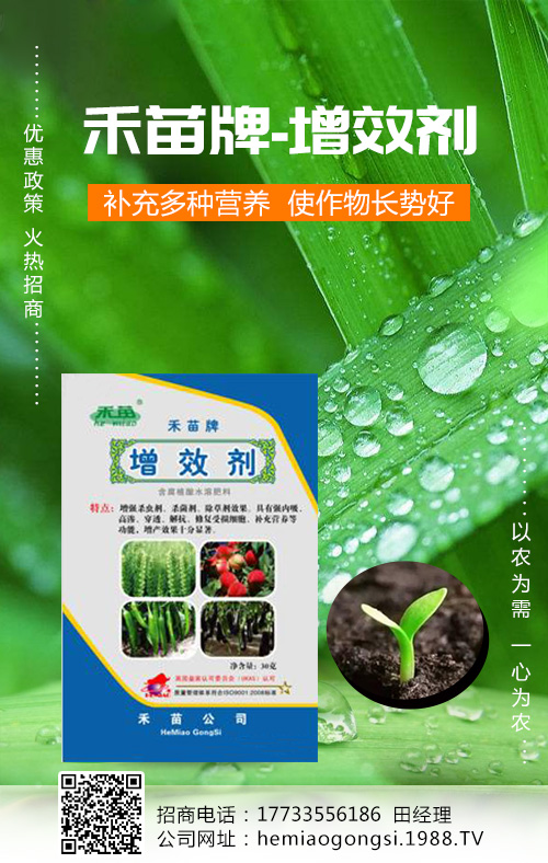 ��ϷNֲ���������@Щ���a(ch��n)��������
