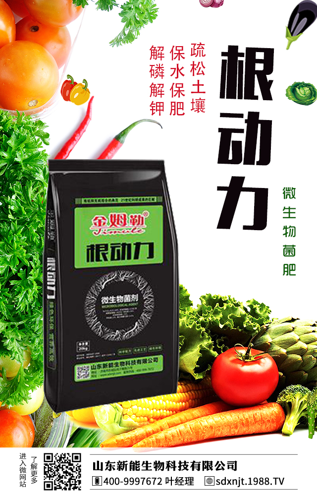 �R��������������νo�R���ʩ����