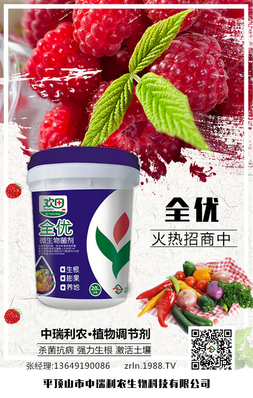 �N�������м���������(sh��)⛷ʲ����٣�