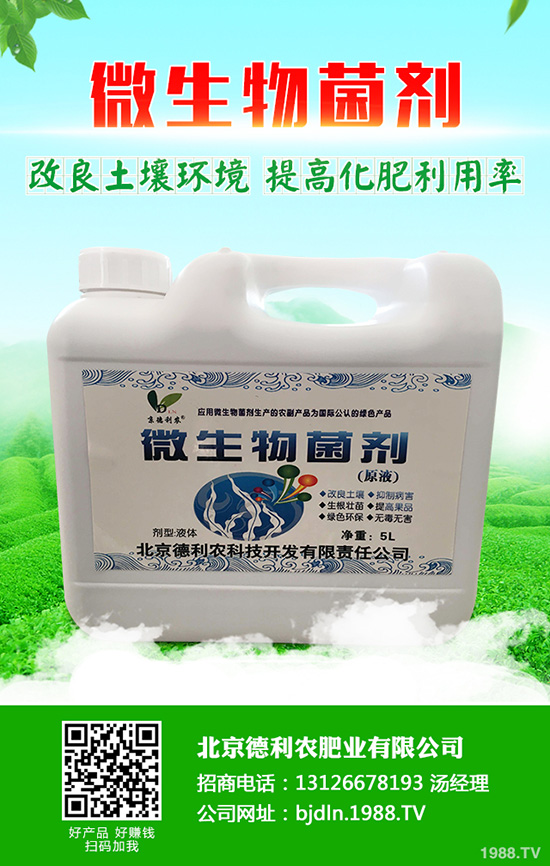 ���������r�ʘI(y��)���޹�˾-(2)