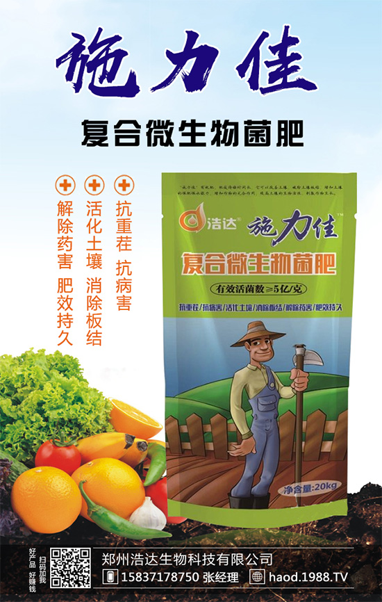 魔芋種植如何實現(xiàn)高產(chǎn)?魔芋高產(chǎn)栽培管理要點