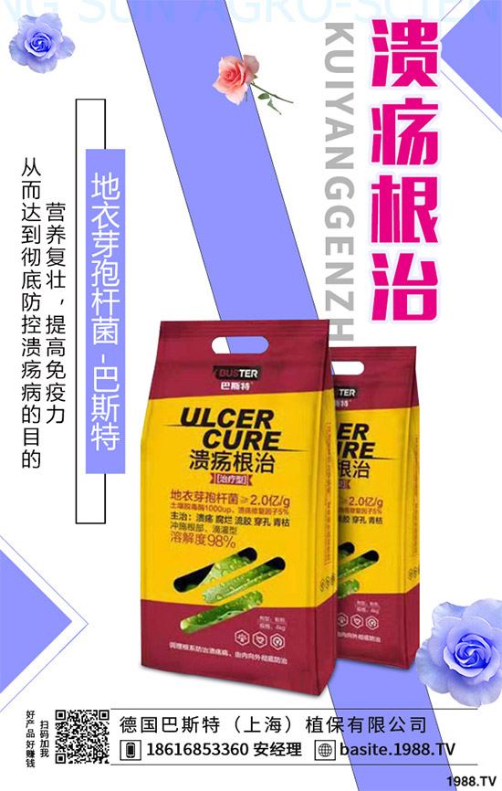 ������һ���Ǽ����Բ��������e���e����Ƚ���������������ɷ����Ν�������