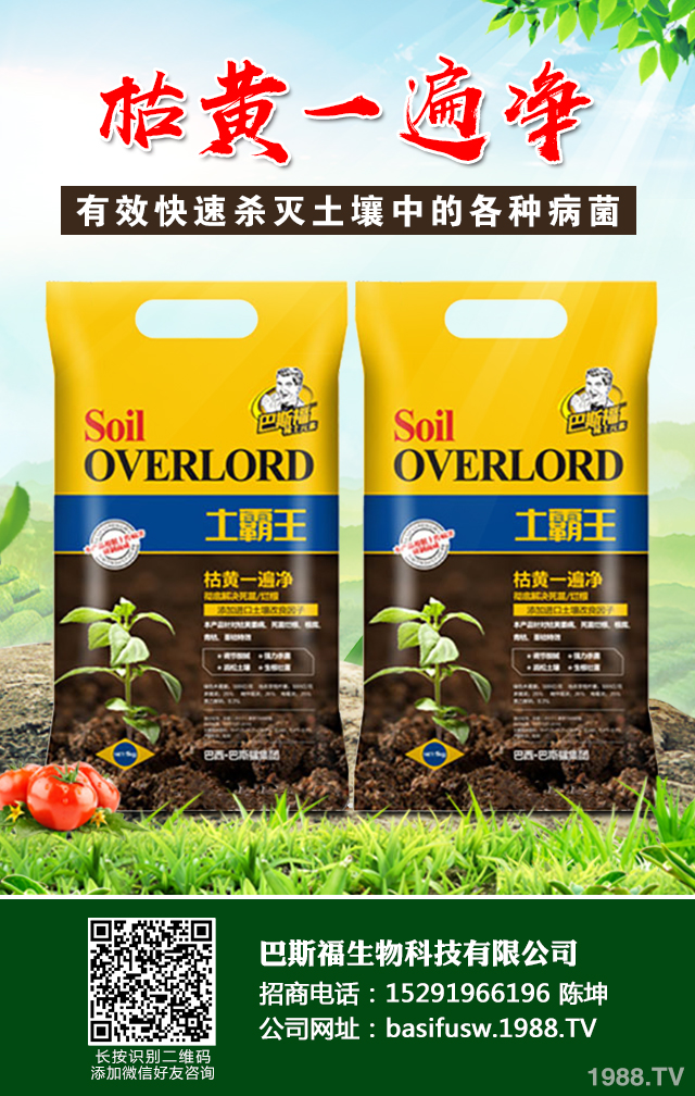 小麥葉子發(fā)黃怎么辦？小麥葉子發(fā)黃防治技巧