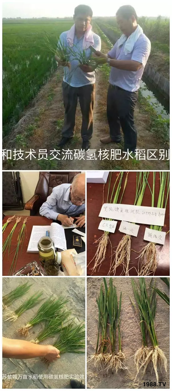 上百家媒體報(bào)道，打造超過(guò)歐盟食品標(biāo)準(zhǔn)作物！碳?xì)浜朔示褪沁@么火爆！