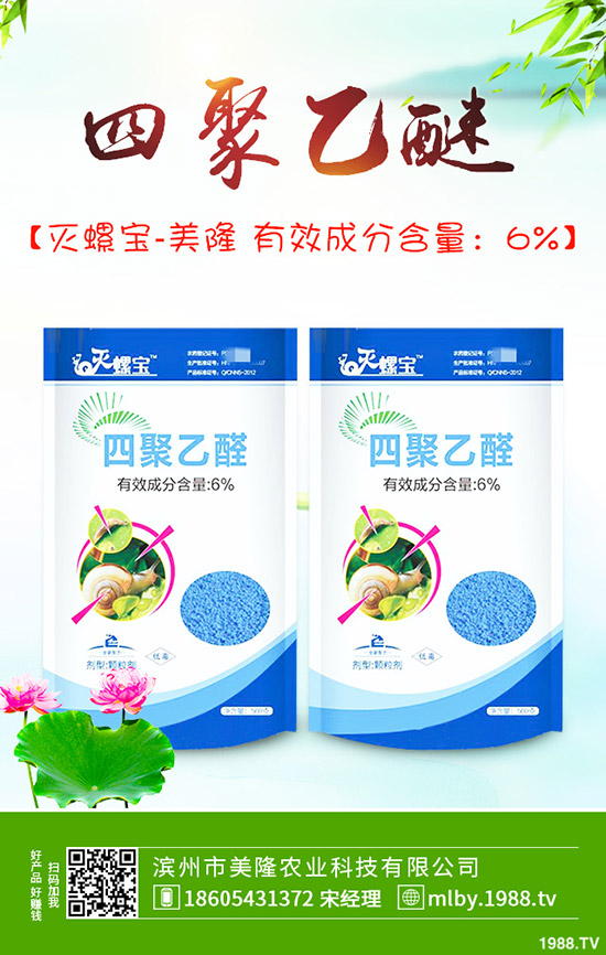 ����ԓ��ԓժ�~������ժ�~��β�����