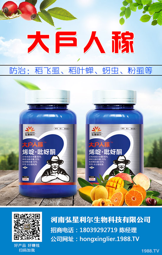 萬年青黃葉怎么辦,萬年青黃葉原因及防治措施!