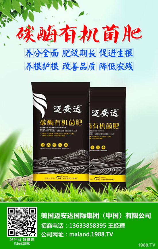 土豆什么時候種，土豆播種應(yīng)注意哪些問題？