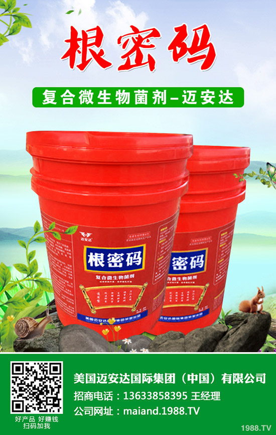 西葫蘆什么時候種植？西葫蘆種植技術(shù)！