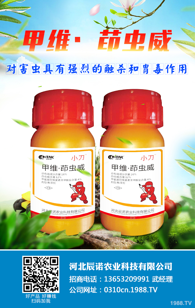 ��ľ��Ҋ���x��ô�k����ľ��Ҋ���x���A(y��)��
