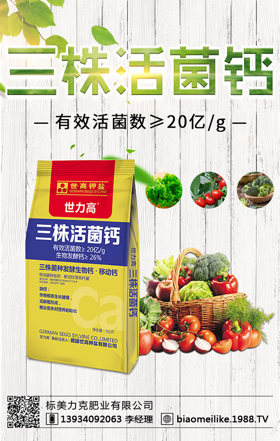 ���S��ʲô�r(sh��)������������S�������ע�����(xi��ng)��