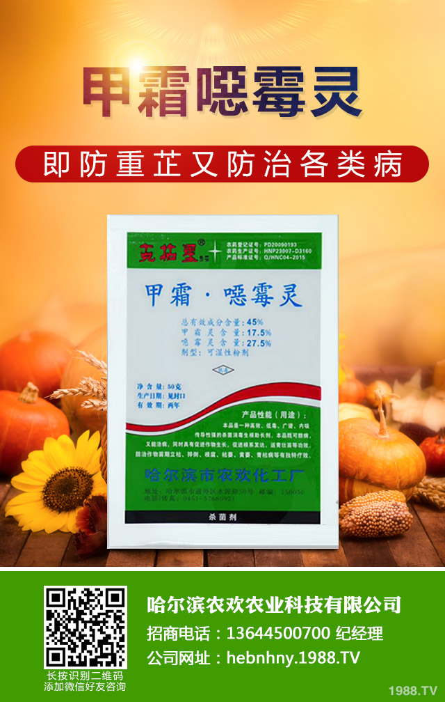 ��Щ������ɣ����P����ɣ����P�����μ���