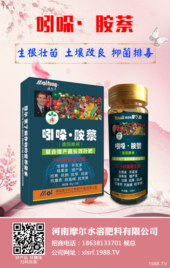 蓮藕怎樣才能高產(chǎn)，蓮藕的高產(chǎn)管理技術(shù)