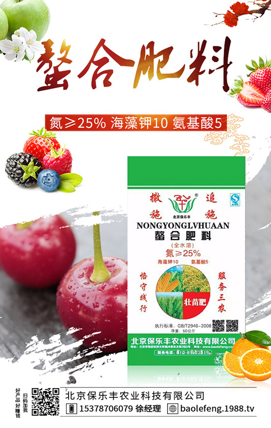 西紅柿如何打葉，西紅柿打葉技巧及注意事項