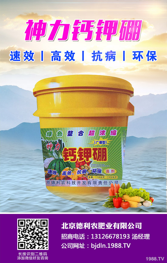 茄子怎么播種？茄子的高產(chǎn)種植方法！