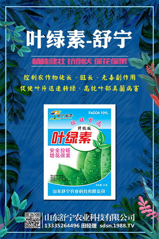 柿子怎么種植？種植柿子的注意事項有哪些？