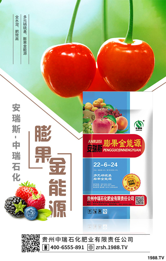 萵苣該如何育苗?萵苣苗期管理技術(shù)要點