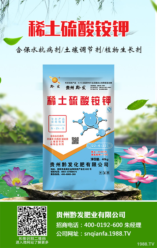 萵苣什么時(shí)候種植?萵苣高產(chǎn)種植方案