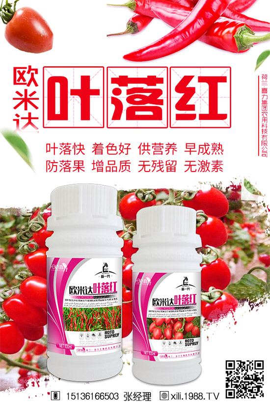 立秋后還能種植韭菜嗎?秋后韭菜管理技巧!