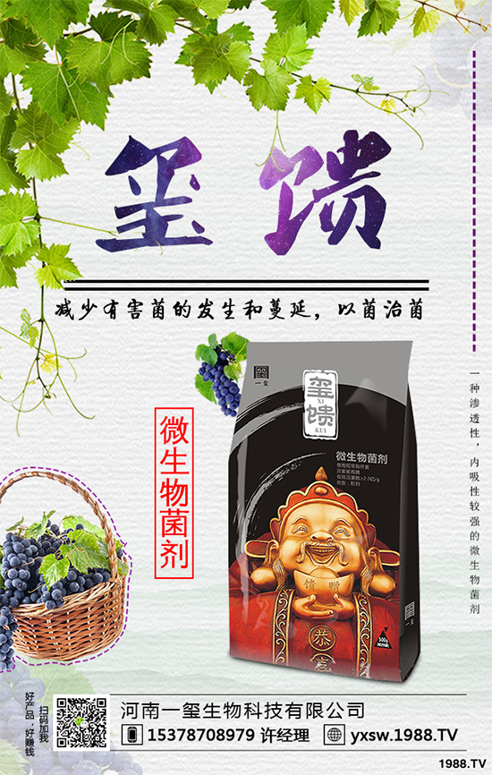 北方怎樣種植藍(lán)莓?種植藍(lán)莓應(yīng)該注意什么?