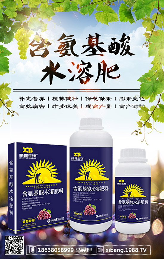 櫻桃蘿卜什么時候種植?櫻桃蘿卜是否需要澆水