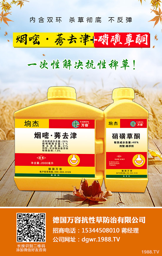 ��������ô�޽ӣ�������޽ӷ�����