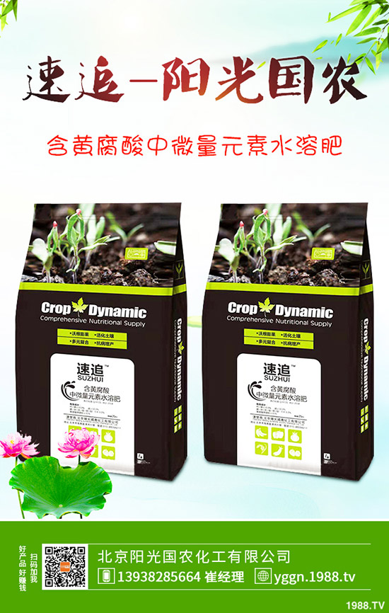     國慶將至！磷酸二銨價格是否影響？最新二銨行情分析2019-9-241-(238)